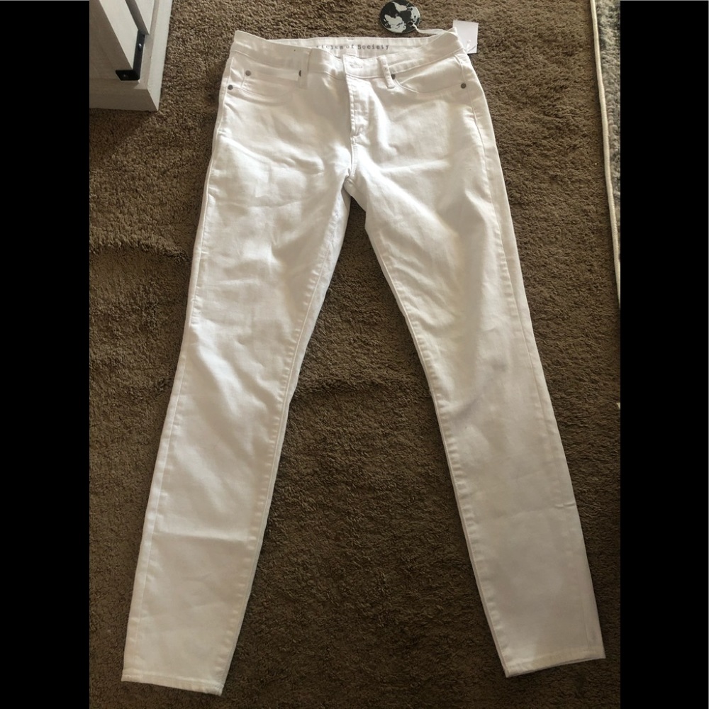 Articles of society nwt size 29